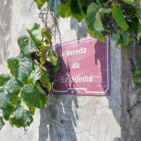 Casa Sienna, A In Madeira Casa de Férias